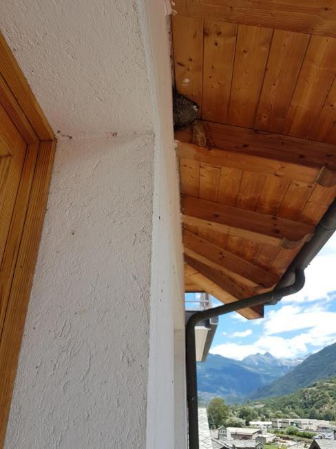 Casa Chanoux Chambave Kültér fotó